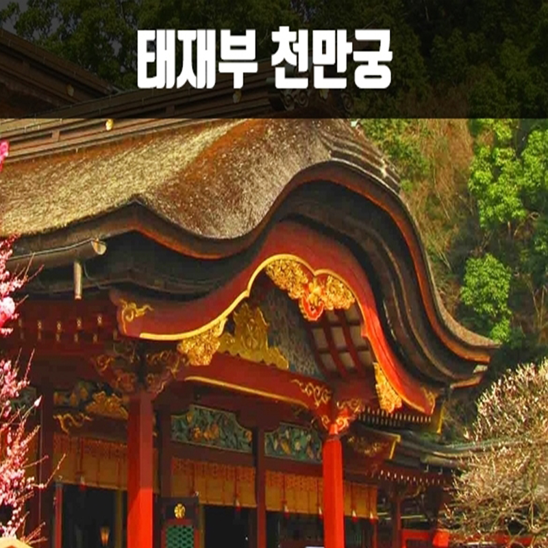 CNJA-1 후쿠오카 시티투어 2박3일 항공