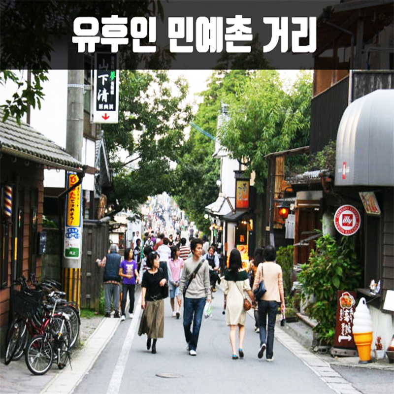 CNJ-7 북 큐슈 하이라이트 세미 투어 3박4일(크루즈) 뉴-카멜리아