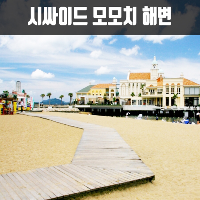 CNJ-5 후쿠오카 세미 투어 3박4일(크루즈) 뉴-카멜리아